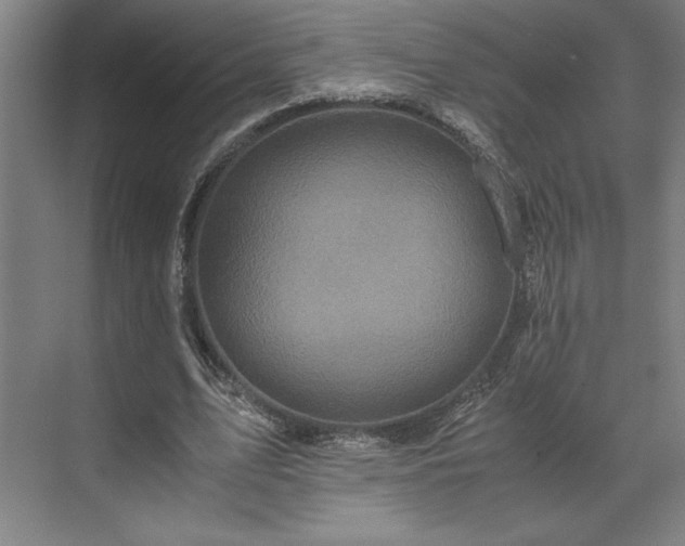 X0000071760583200607071238