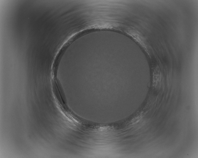 X0000071760584200607071238