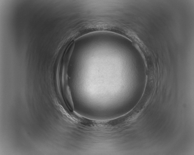 X0000071760585200607071238