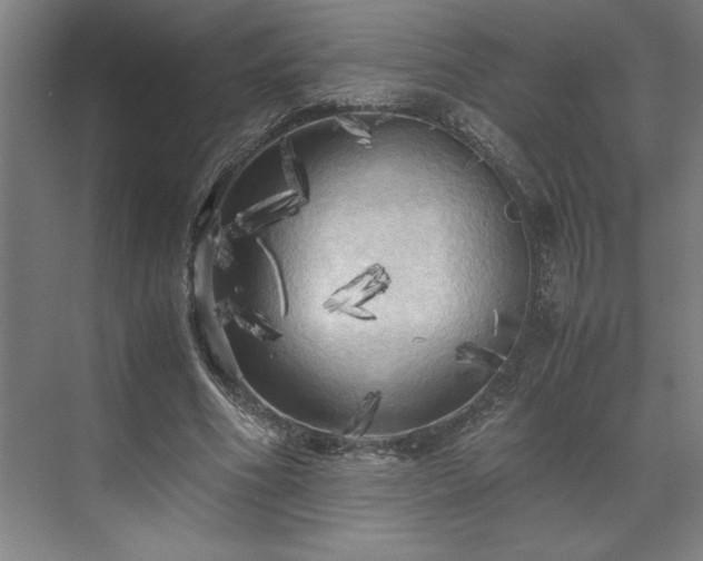 X0000071760586200607071238