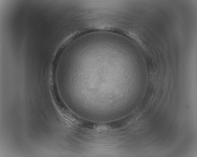 X0000071760587200607071238