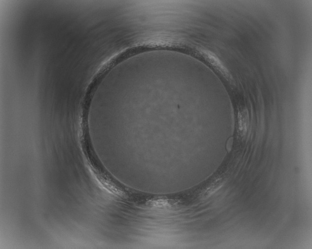 X0000071760588200607071238