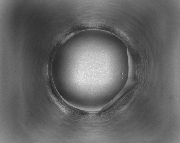 X0000071760589200607071238