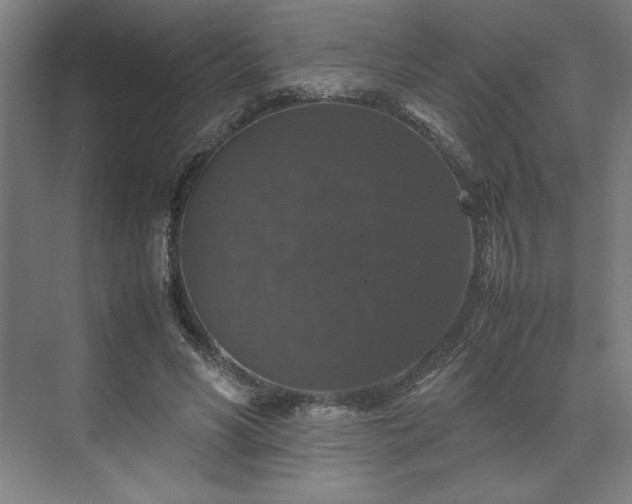 X0000071760590200607071238