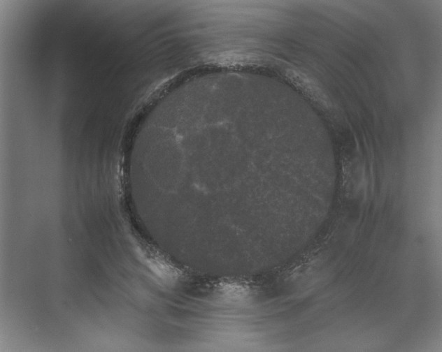 X0000071760592200607071238