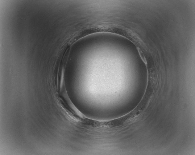 X0000071760593200607071238