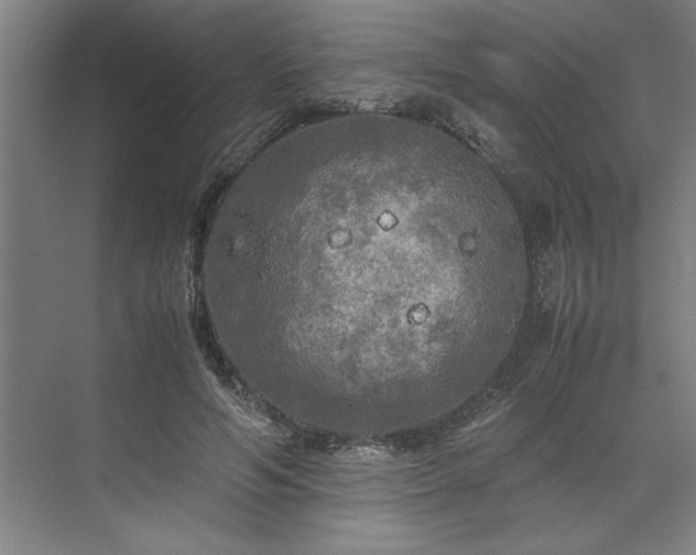 X0000071760594200607071238