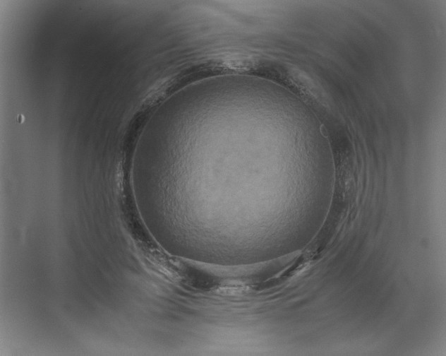 X0000071760595200607071238