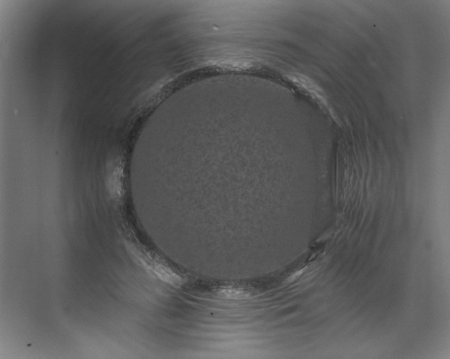 X0000071760596200607071238