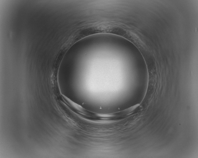 X0000071760597200607071238