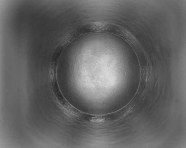 X0000071760602200607071238