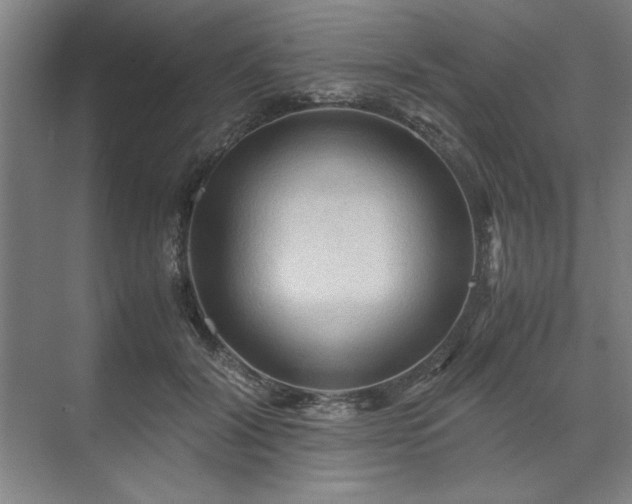 X0000071760604200607071238