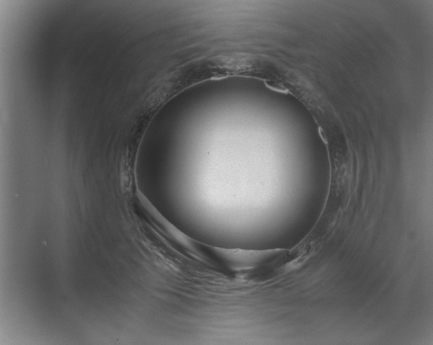 X0000071760609200607071238