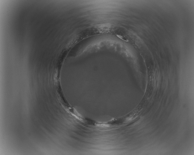 X0000071760610200607071238