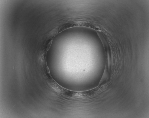 X0000071760611200607071238