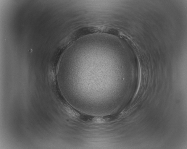 X0000071760613200607071237