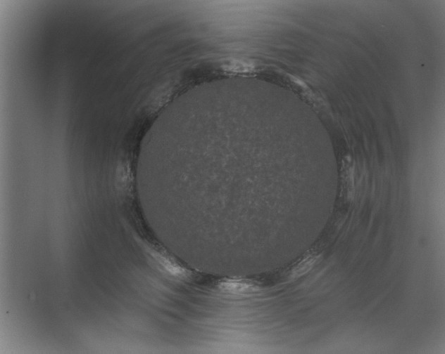 X0000071760614200607071237