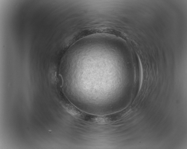 X0000071760615200607071237