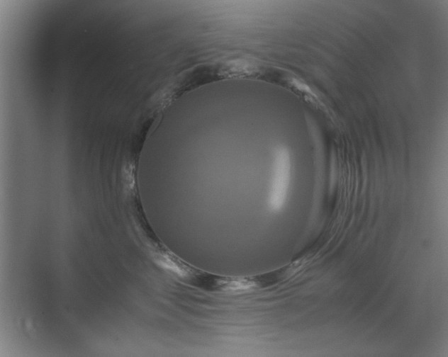 X0000071760621200607071237