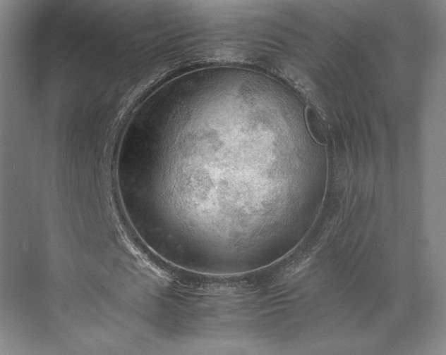 X0000071760625200607071236