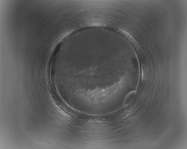 X0000071760627200607071237