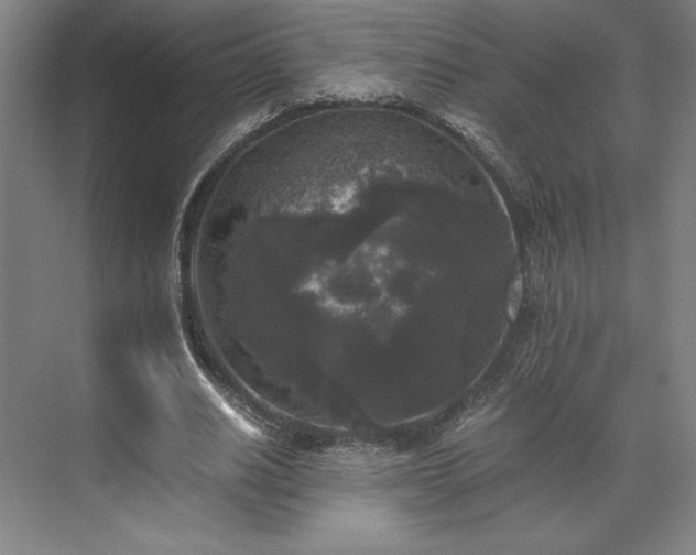 X0000071760630200607071237