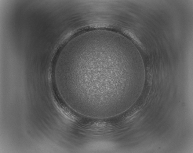 X0000071760631200607071237