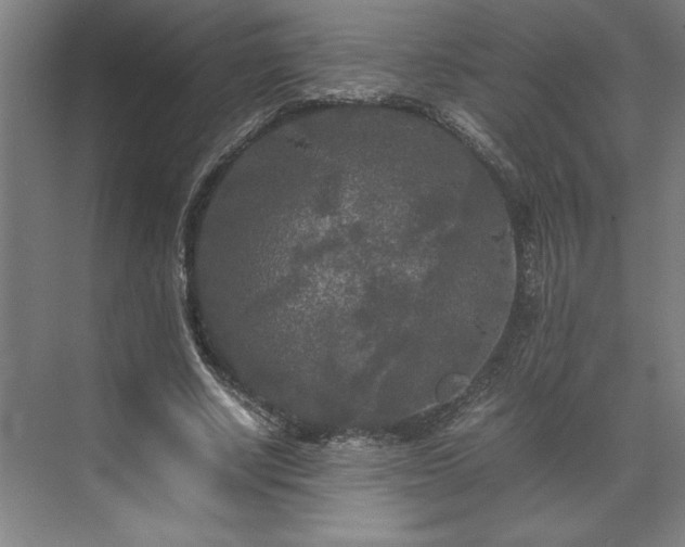 X0000071760634200607071237