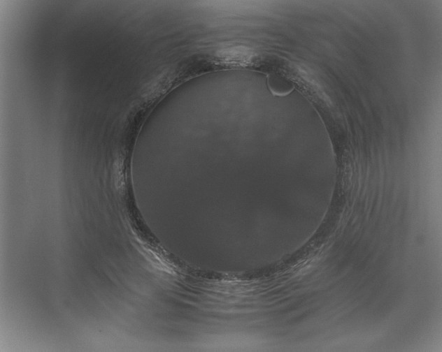 X0000071760641200607071237