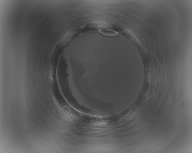 X0000071760643200607071237