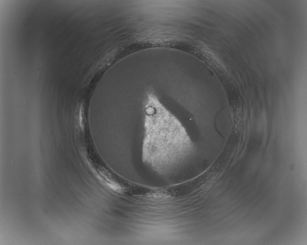 X0000071760644200607071237