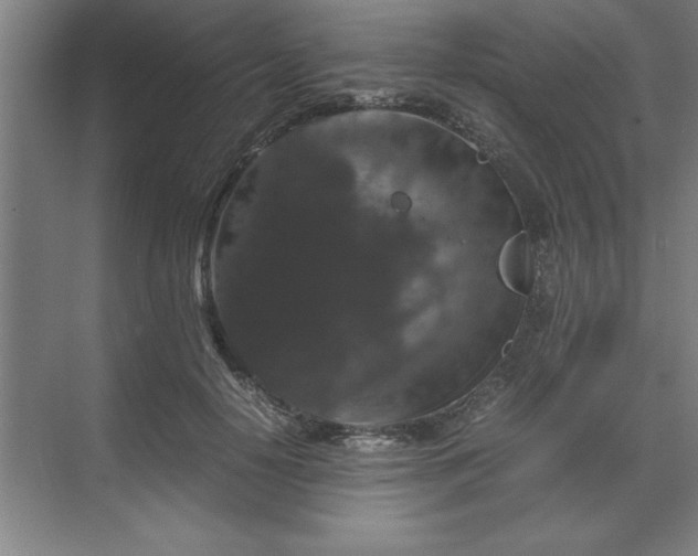 X0000071760650200607071237