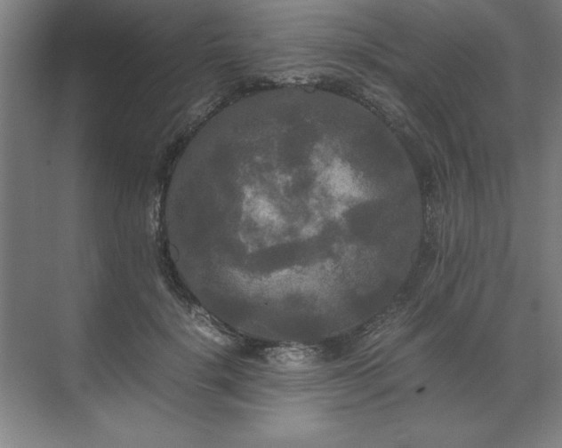 X0000071760652200607071237