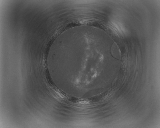 X0000071760653200607071237