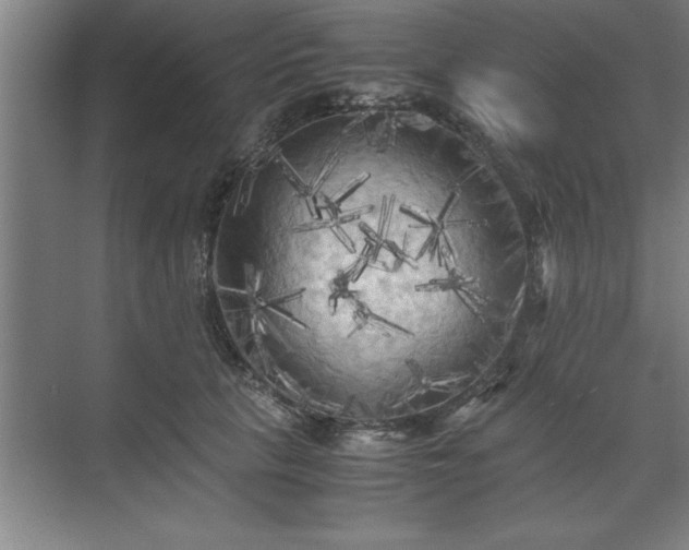 X0000071760657200607071237