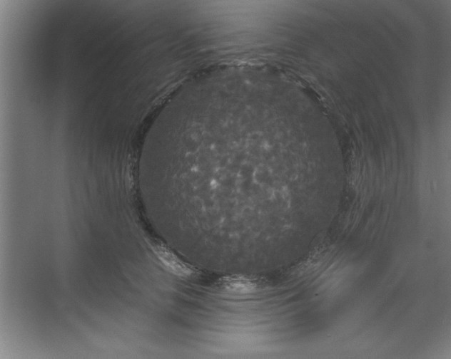 X0000071760658200607071237