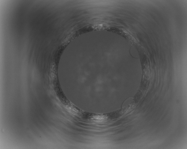 X0000071760659200607071237