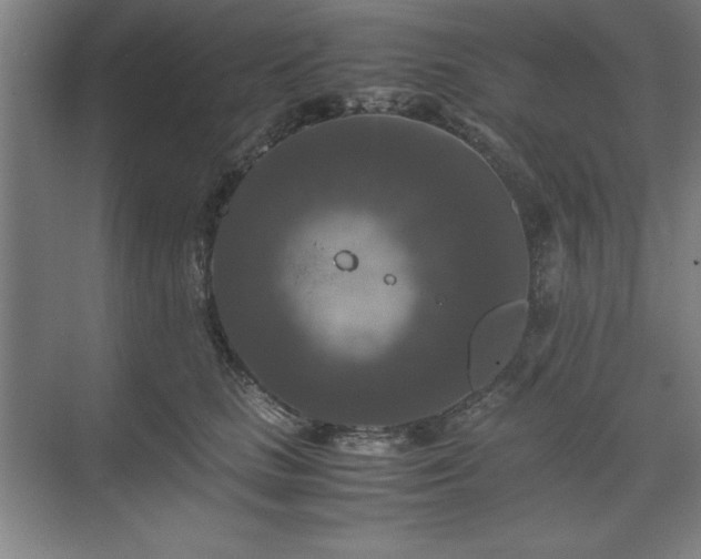 X0000071760661200607071237