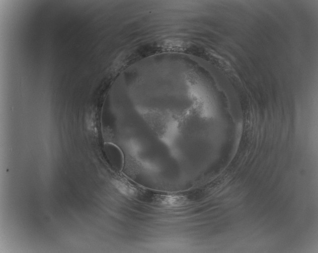 X0000071760663200607071237