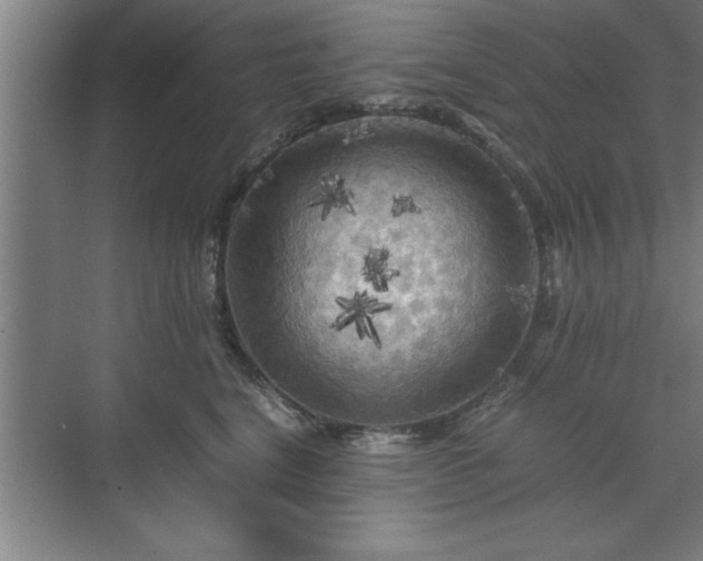 X0000071760664200607071237