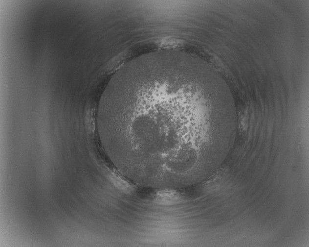 X0000071760666200607071237