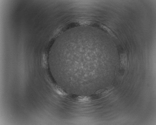 X0000071760667200607071237