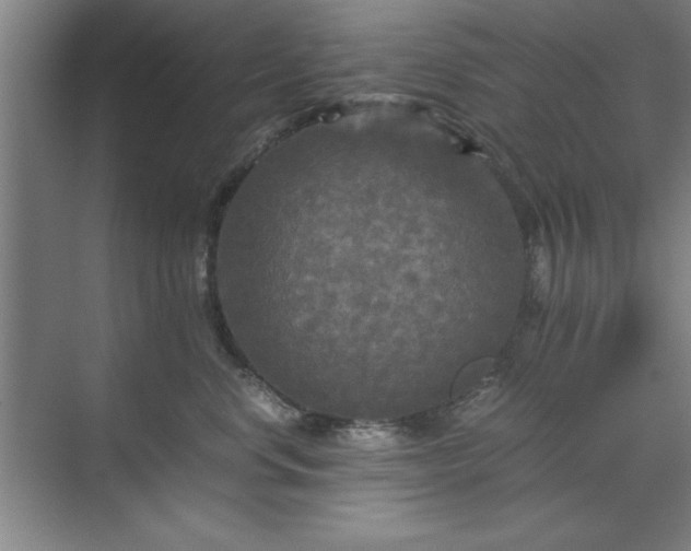 X0000071760668200607071237