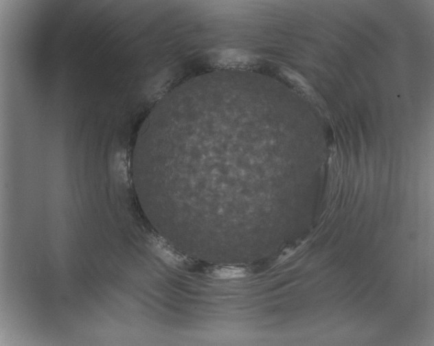 X0000071760669200607071237