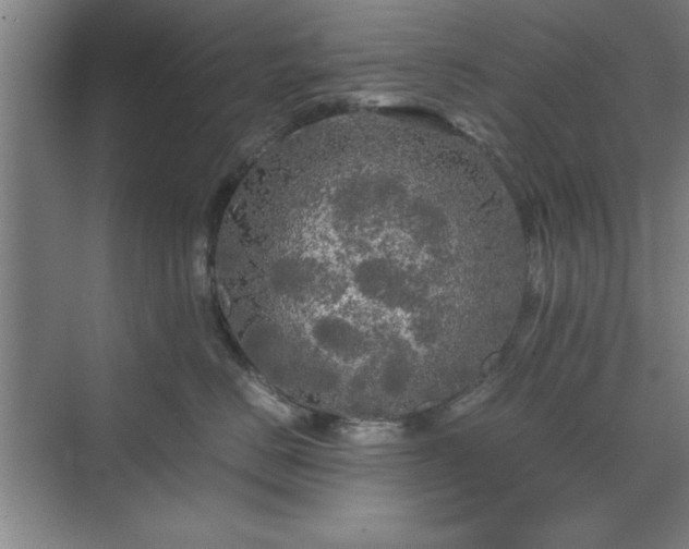 X0000071760670200607071237