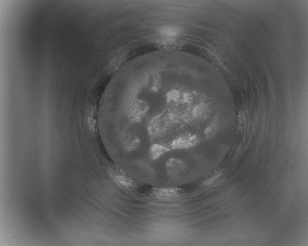 X0000071760671200607071237