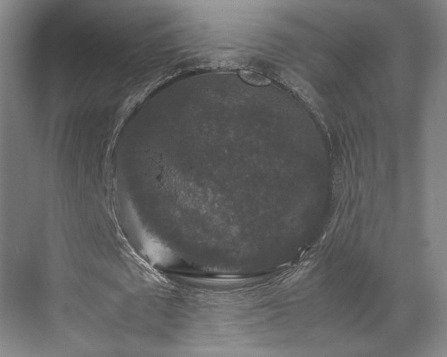 X0000071760673200607071236