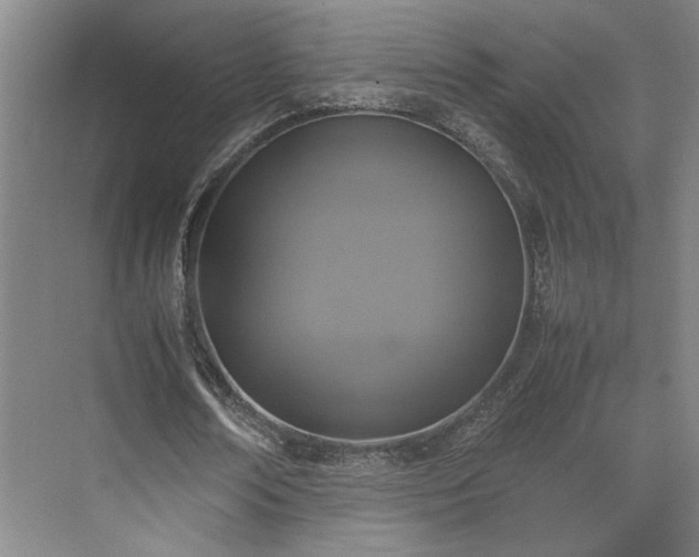 X0000071760674200607071236