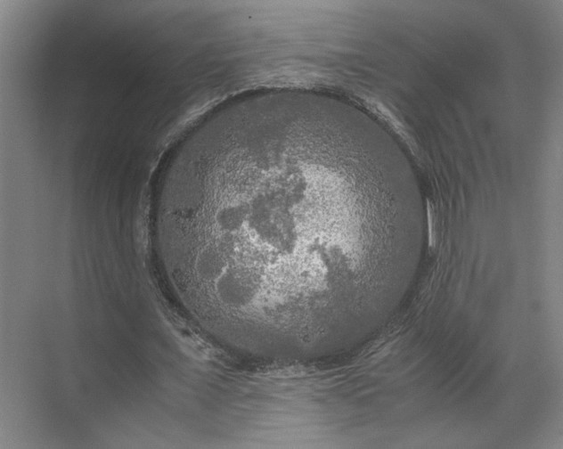 X0000071760675200607071236