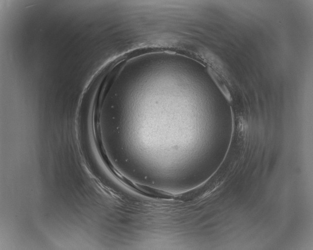 X0000071760676200607071236